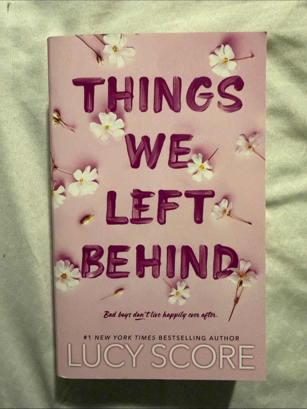 things we left behind book by lucy score